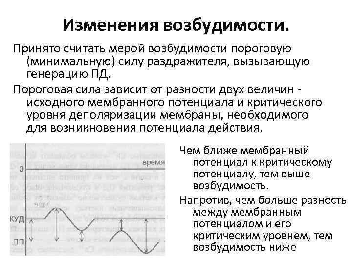 Какая зависимость существует между. Критерии возбудимости физиология. Изменение уровня возбудимости ткани. Критерии оценки возбудимости физиология. Критерии оценки возбудимости ткани.