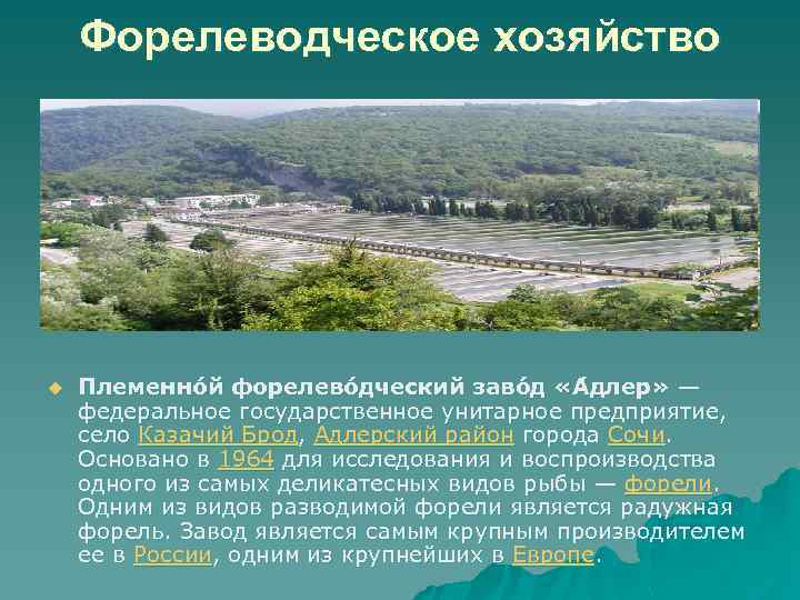 Форелеводческое хозяйство u Племенно й форелево дческий заво д «А длер» — федеральное государственное