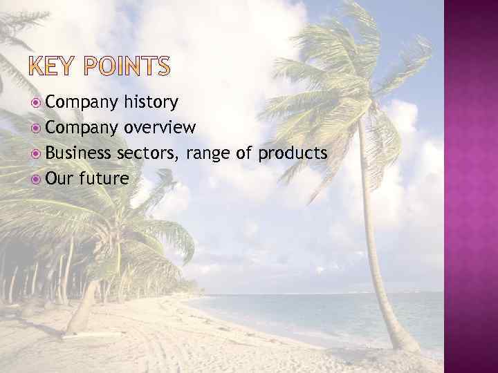  Company history Company overview Business sectors, range of products Our future 