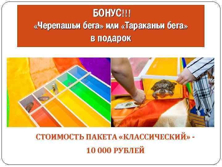 БОНУС!!! «Черепашьи бега» или «Тараканьи бега» в подарок СТОИМОСТЬ ПАКЕТА «КЛАССИЧЕСКИЙ» 10 000 РУБЛЕЙ