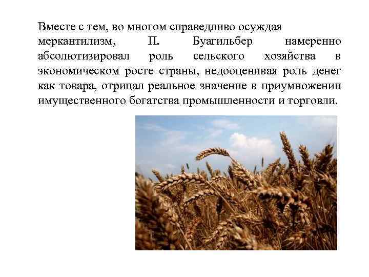 Вместе с тем, во многом справедливо осуждая меркантилизм, П. Буагильбер намеренно абсолютизировал роль сельского