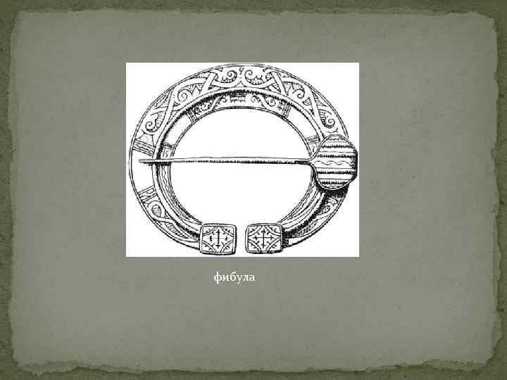 фибула 