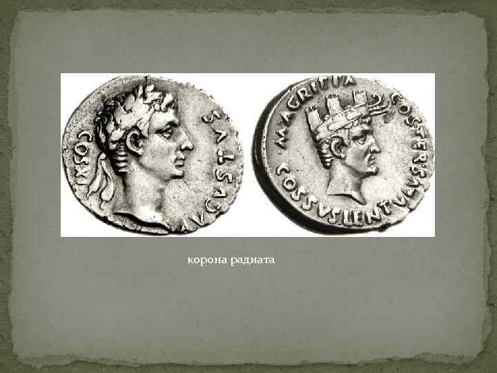 корона радиата 