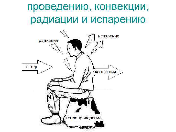 проведению, конвекции, радиации и испарению 