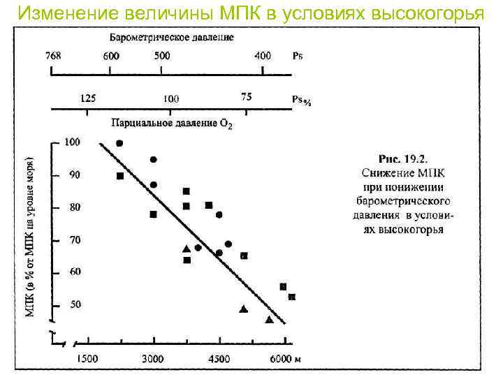 Изменение величины. Изменение величин. Изменение величин 6 класс. Изменение максимального потребления кислорода МПК. Максимальное потребление кислорода в условиях высокогорья.