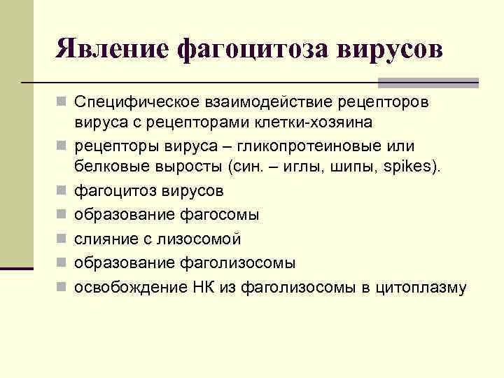 Явление фагоцитоза вирусов n Специфическое взаимодействие рецепторов n n n вируса с рецепторами клетки-хозяина