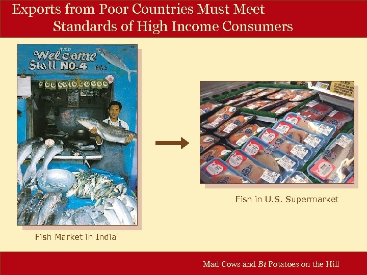 Exports from Poor Countries Must Meet Standards of High Income Consumers Fish in U.