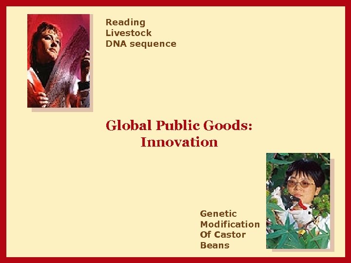 Reading Livestock DNA sequence Global Public Goods: Innovation Genetic Modification Of Castor Beans 
