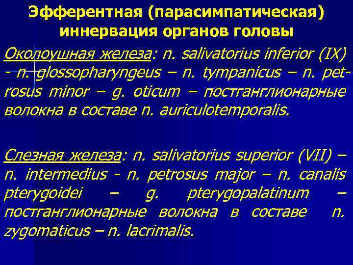 Эфферентная (парасимпатическая) иннервация органов головы Околоушная железа: n. salivatorius inferior (IX) - n. glossopharyngeus