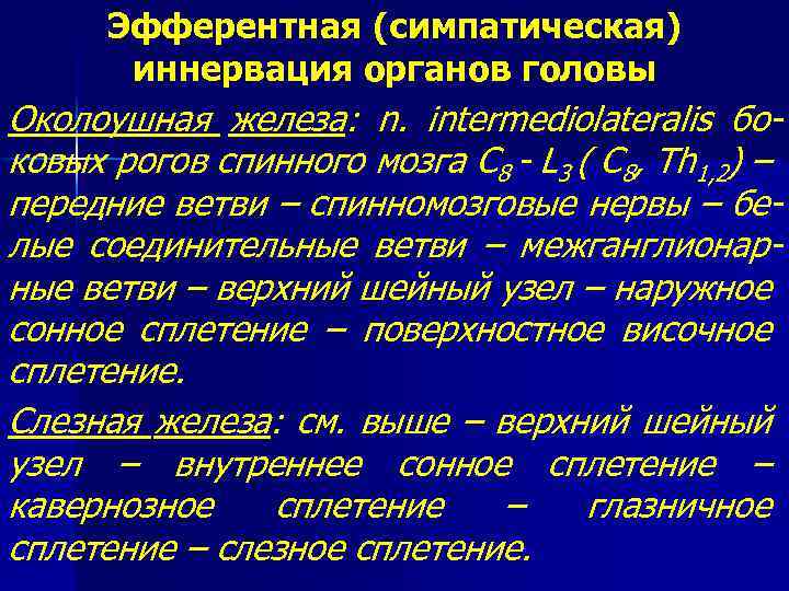 Эфферентная (симпатическая) иннервация органов головы Околоушная железа: n. intermediolateralis боковых рогов спинного мозга С