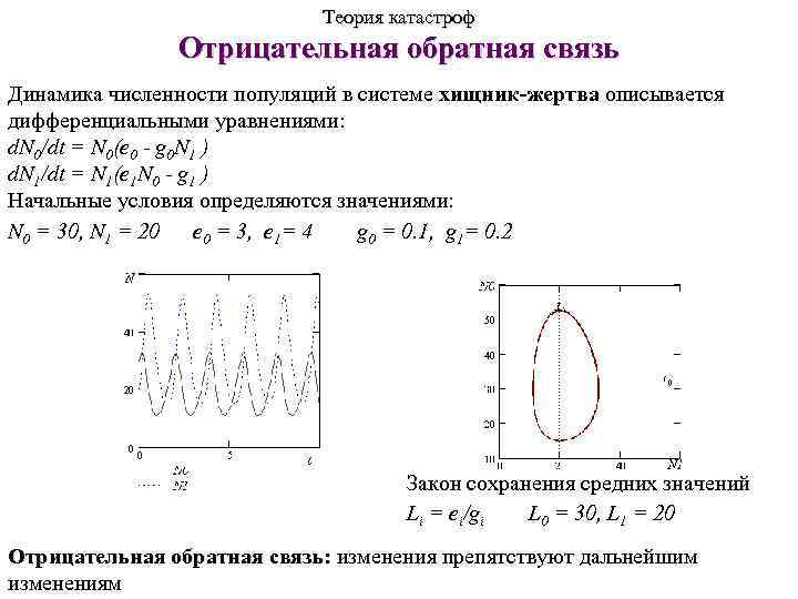 Теория катастроф Отрицательная обратная связь Динамика численности популяций в системе хищник-жертва описывается дифференциальными уравнениями: