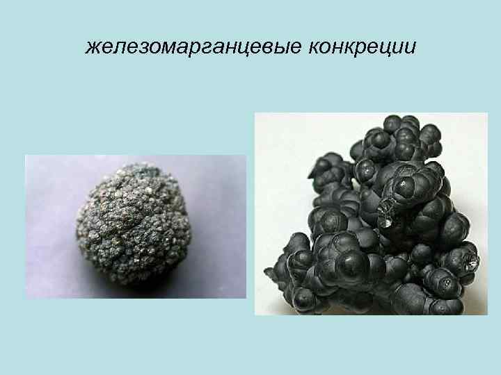 железомарганцевые конкреции 