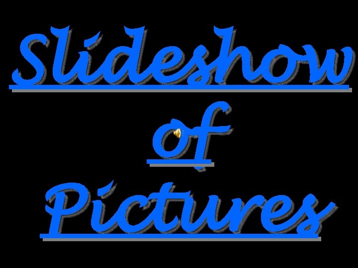Slideshow of Pictures 