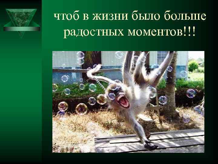 чтоб в жизни было больше радостных моментов!!! 