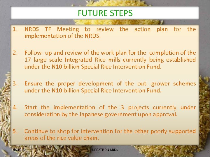 FUTURE STEPS 1. NRDS TF Meeting to review the action plan for the implementation