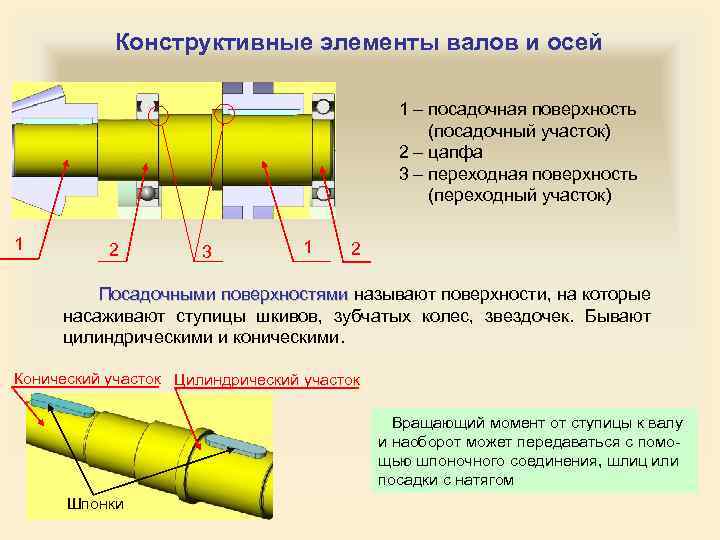 Осе 1