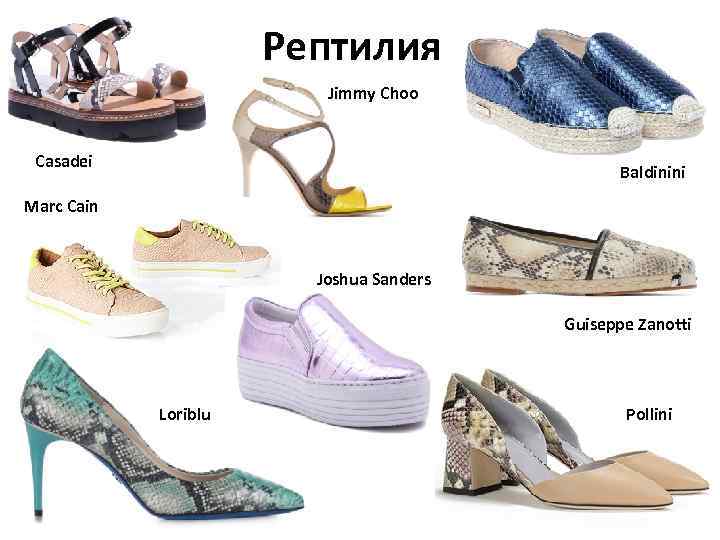 Рептилия Jimmy Choo Casadei Baldinini Marc Cain Joshua Sanders Guiseppe Zanotti Loriblu Pollini 