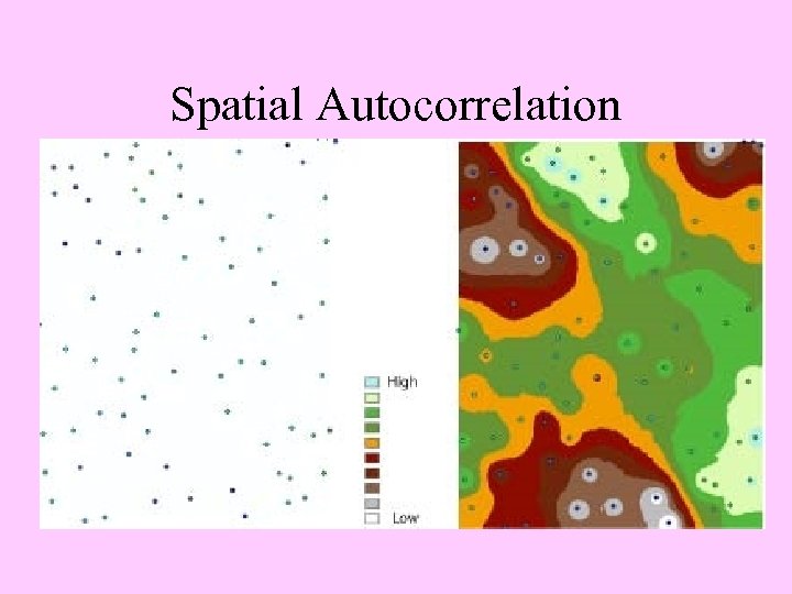 Spatial Autocorrelation 