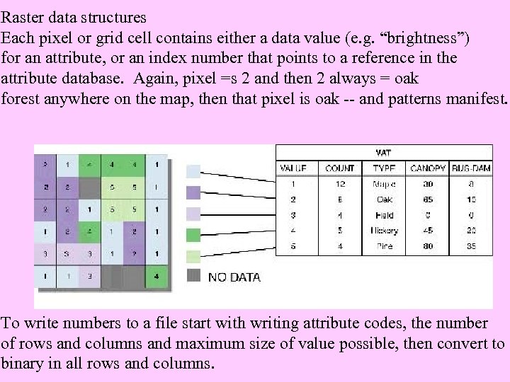 Raster data structures Each pixel or grid cell contains either a data value (e.