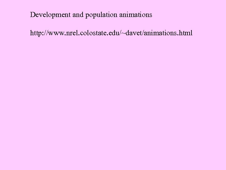 Development and population animations http: //www. nrel. colostate. edu/~davet/animations. html 