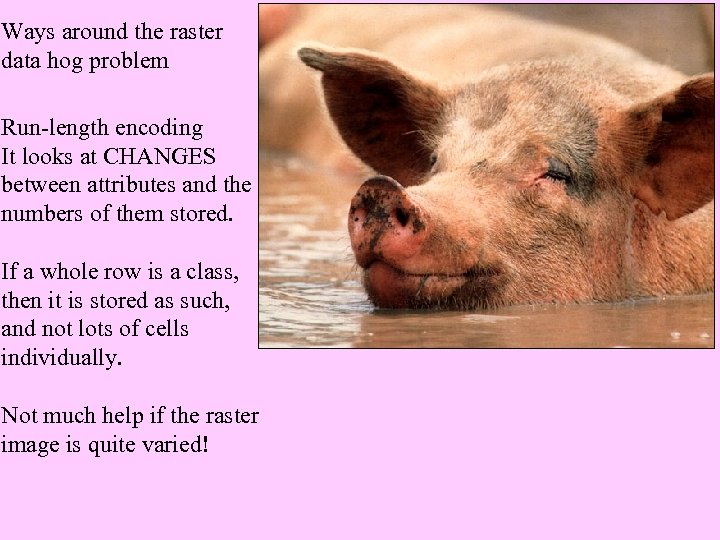 Ways around the raster data hog problem Run-length encoding It looks at CHANGES between