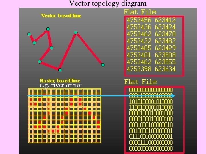 Vector topology diagram e. g. river or not 