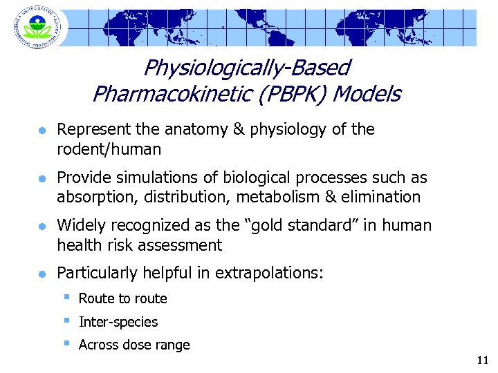 Physiologically-Based Pharmacokinetic (PBPK) Models l Represent the anatomy & physiology of the rodent/human l