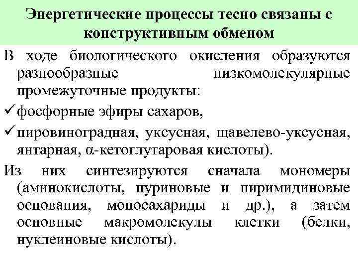 Энергетические процессы тесно связаны с конструктивным обменом В ходе биологического окисления образуются разнообразные низкомолекулярные
