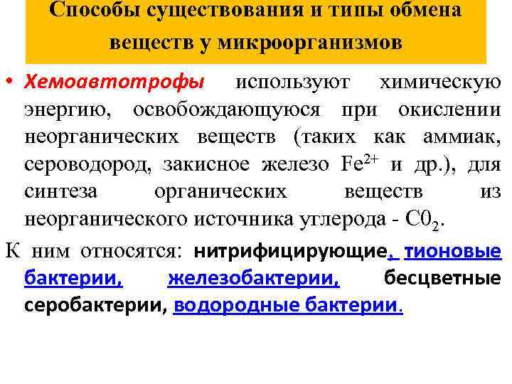 Способы существования и типы обмена веществ у микроорганизмов • Хемоавтотрофы используют химическую энергию, освобождающуюся