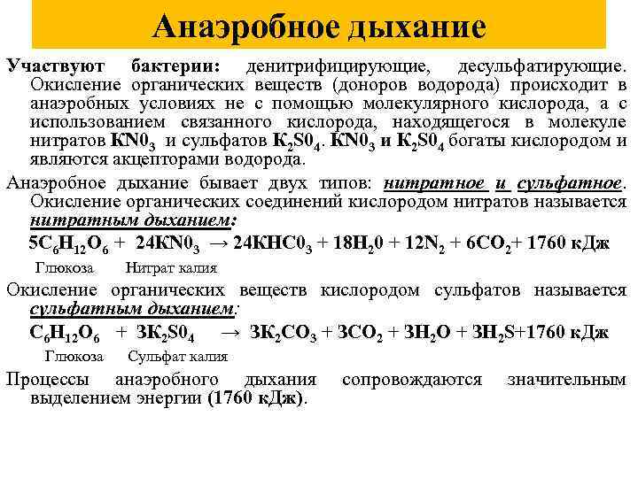 Окисление органических веществ. Типы дыхания аэробное и анаэробное. Анаэробный Тип дыхания. Механизмы аэробного и анаэробного дыхания у бактерий. Типы анаэробного дыхания у микроорганизмов.