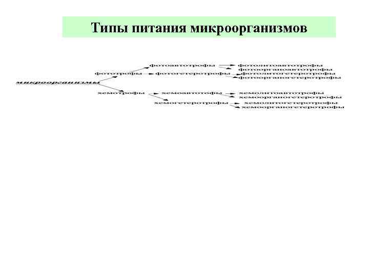 Типы питания микроорганизмов 