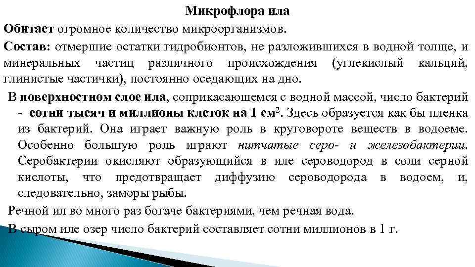 Микрофлора ила Обитает огромное количество микроорганизмов. Состав: отмершие остатки гидробионтов, не разложившихся в водной