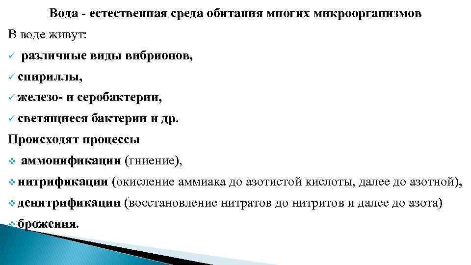 Вода естественная среда обитания многих микроорганизмов В воде живут: ü различные виды вибрионов, ü