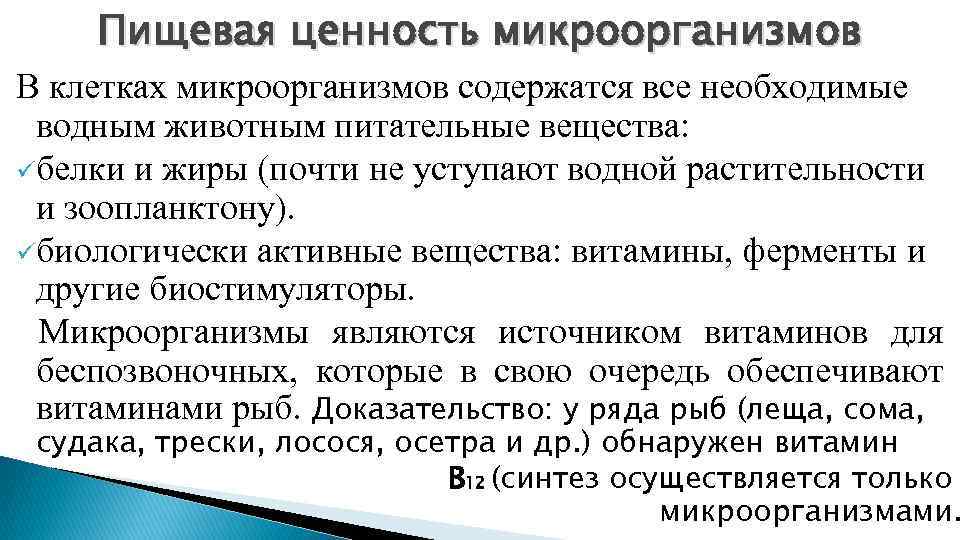Пищевая ценность микроорганизмов В клетках микроорганизмов содержатся все необходимые водным животным питательные вещества: üбелки