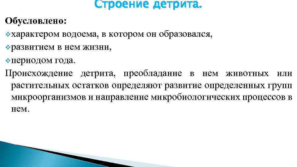 Строение детрита. Обусловлено: vхарактером водоема, в котором он образовался, vразвитием в нем жизни, vпериодом