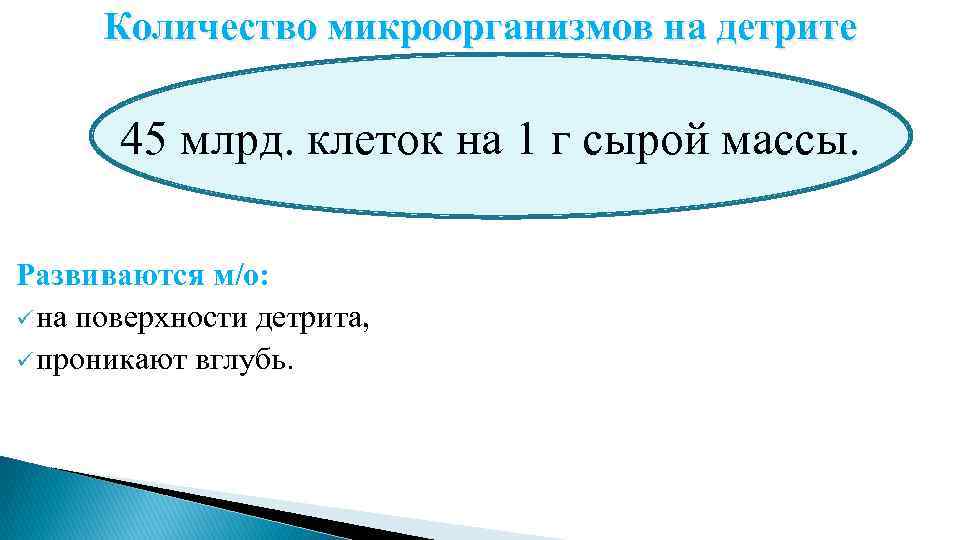 Количество микроорганизмов на детрите 45 млрд. клеток на 1 г сырой массы. Развиваются м/о: