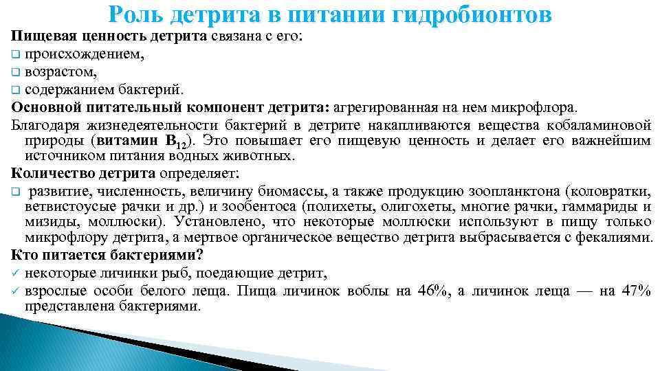 Роль детрита в питании гидробионтов Пищевая ценность детрита связана с его: q происхождением, q
