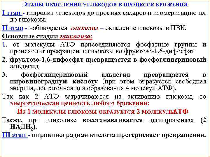 ЭТАПЫ ОКИСЛЕНИЯ УГЛЕВОДОВ В ПРОЦЕССЕ БРОЖЕНИЯ I этап - гидролиз углеводов до простых сахаров