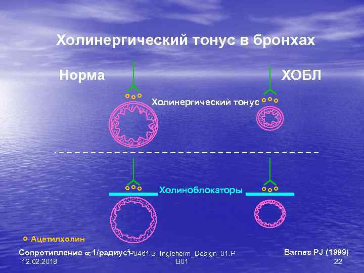 Холинергический тонус в бронхах Норма ХОБЛ Холинергический тонус Холиноблокаторы Ацетилхолин Сопротивление µ 1/радиус4 P
