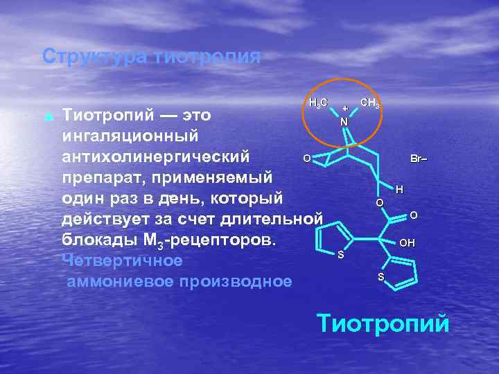Структура тиотропия p H 3 C Тиотропий — это ингаляционный O антихолинергический препарат, применяемый