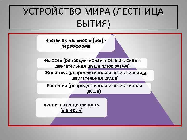 УСТРОЙСТВО МИРА (ЛЕСТНИЦА БЫТИЯ) Чистая актуальность (Бог) - первоформа Человек (репродуктивная и вегетативная и