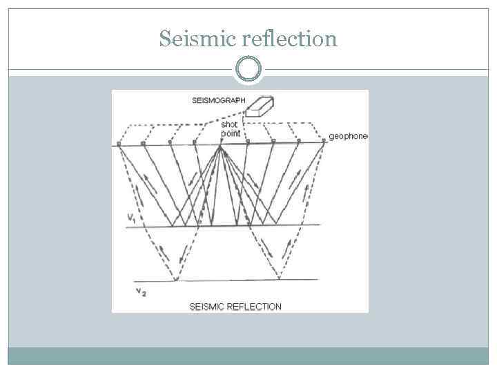 Seismic reflection 