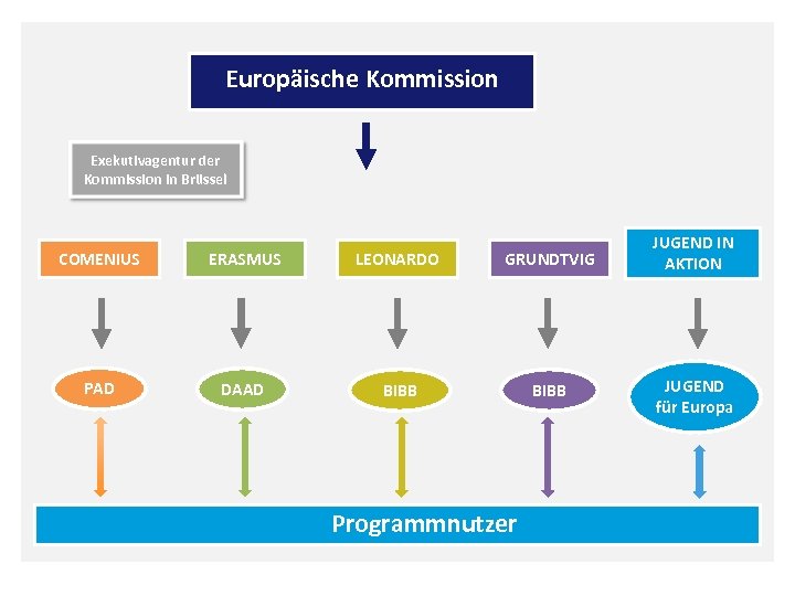 Europäische Kommission Exekutivagentur der Kommission in Brüssel COMENIUS ERASMUS LEONARDO GRUNDTVIG JUGEND IN AKTION