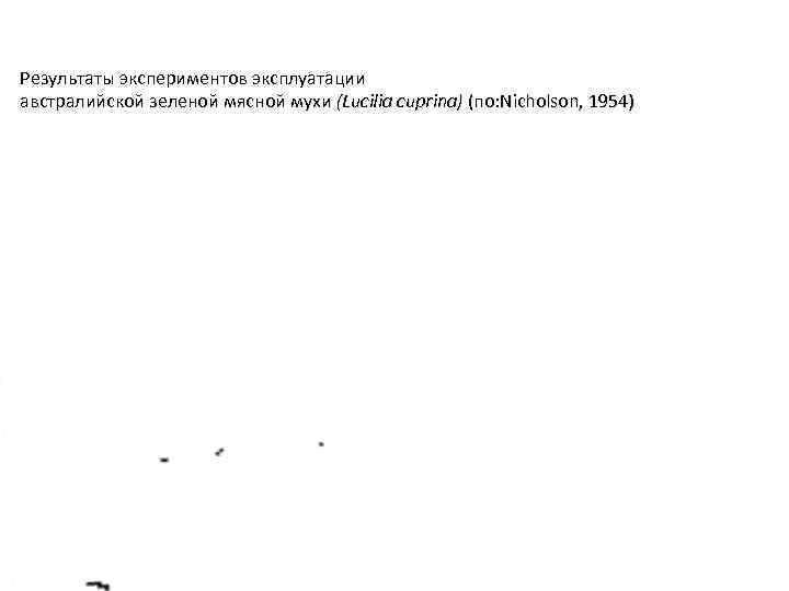 Результаты экспериментов эксплуатации австралийской зеленой мясной мухи (Lucilia cuprina) (по: Nicholson, 1954) 
