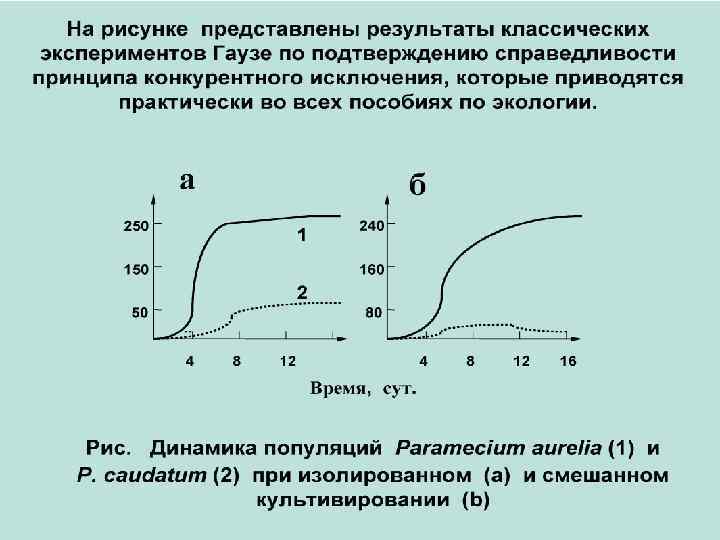 Взаимодействие популяций наука