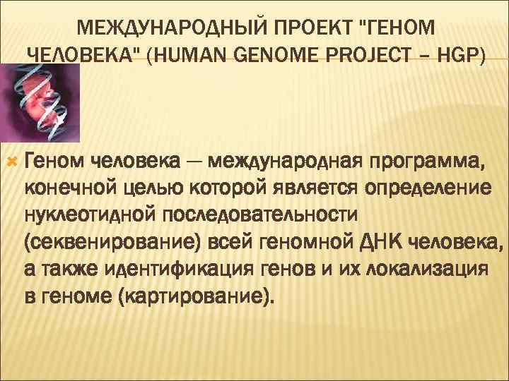 МЕЖДУНАРОДНЫЙ ПРОЕКТ 