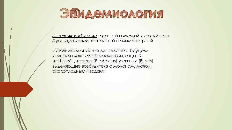 Эпидемиология Источник инфекции- крупный и мелкий рогатый скот. Пути заражения- контактный и алиментарный. Источником
