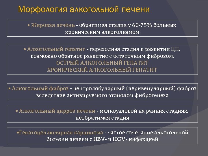 Морфология алкогольной печени • Жировая печень - обратимая стадия у 60 -75% больных хроническим