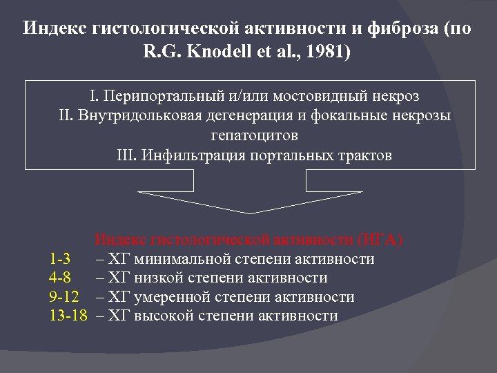 Индекс гистологической активности и фиброза (по R. G. Knodell et al. , 1981) I.