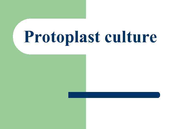 Protoplast culture 